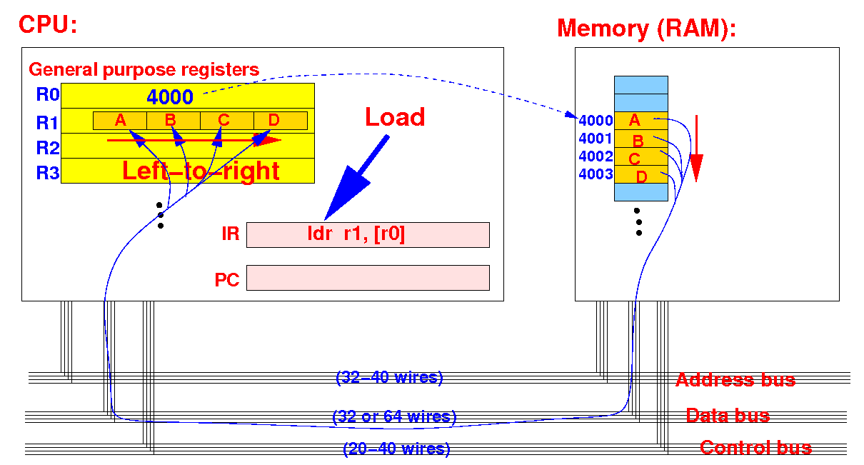 The str instruction that uses the little endian ordering